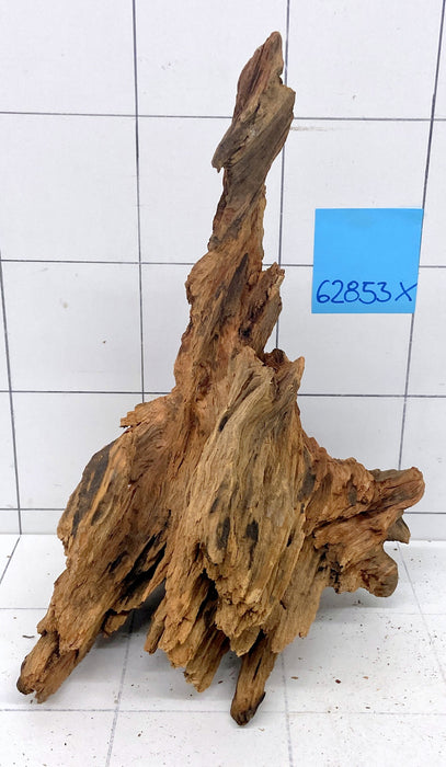 62853X - XINGU Wood Wurzelholz