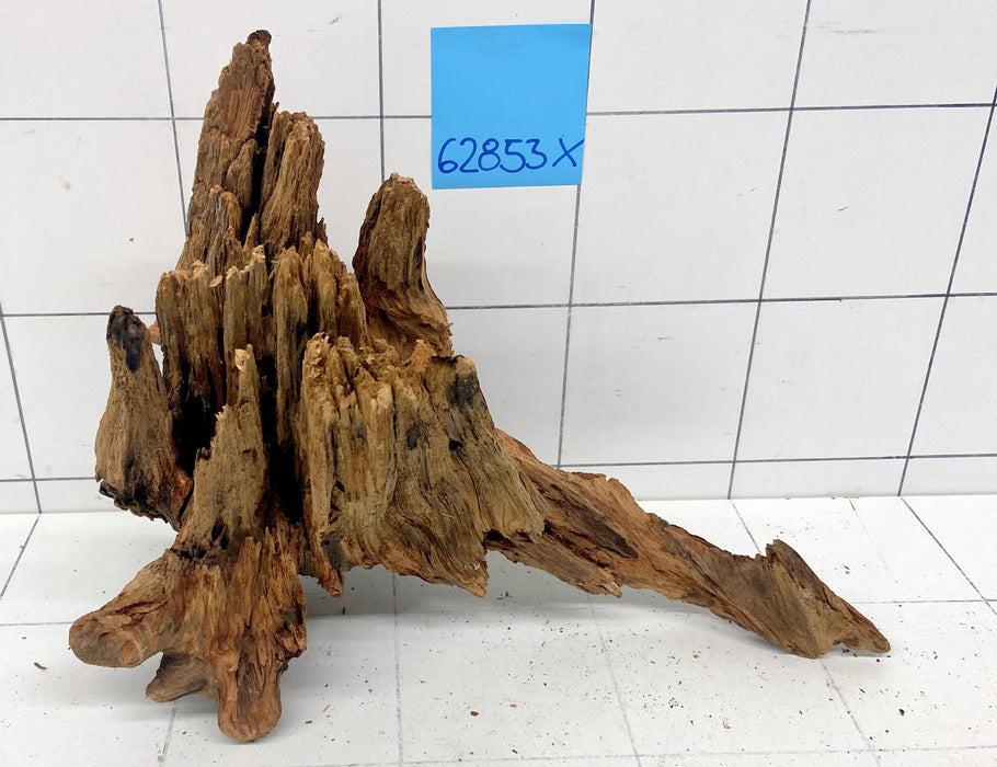 62853X - XINGU Wood Wurzelholz