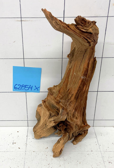 62854X - XINGU Wood Wurzelholz
