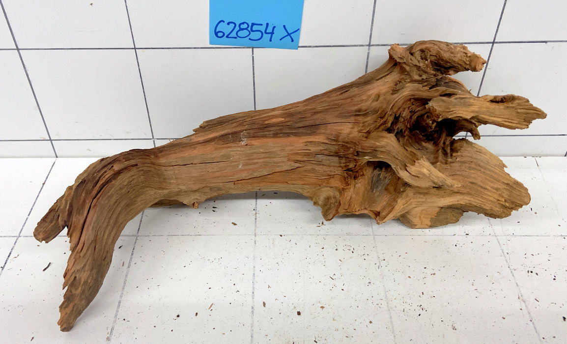 62854X - XINGU Wood Wurzelholz