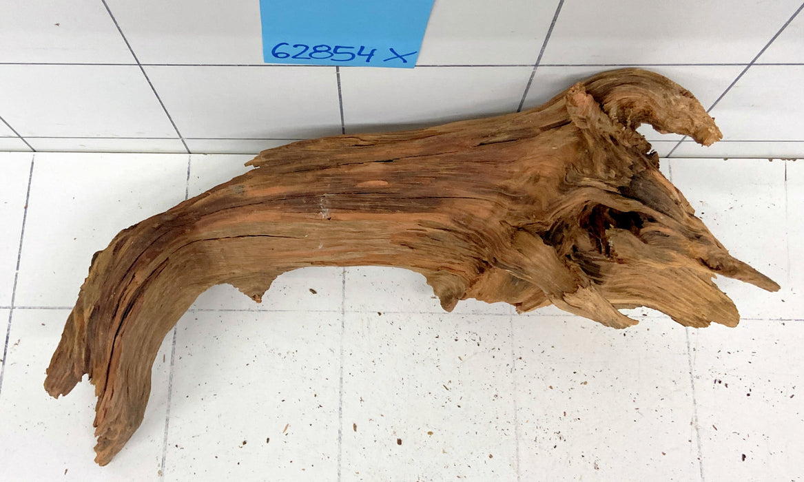 62854X - XINGU Wood Wurzelholz