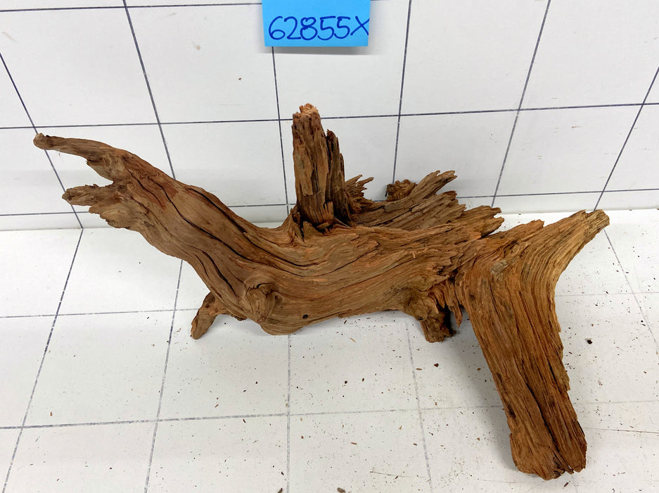 62855X - XINGU Wood Wurzelholz