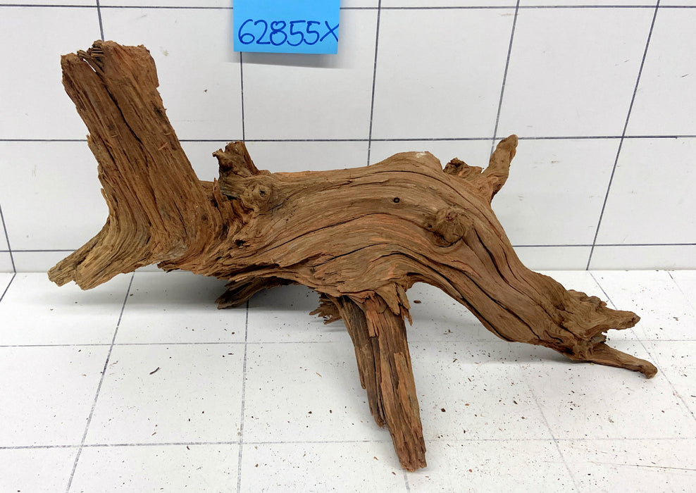 62855X - XINGU Wood Wurzelholz
