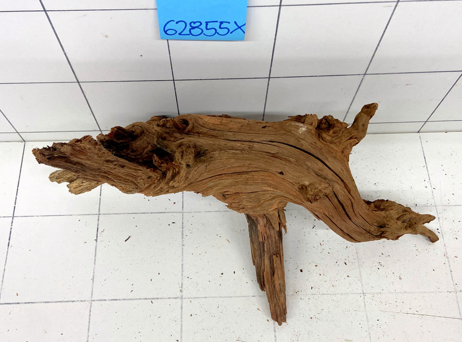 62855X - XINGU Wood Wurzelholz