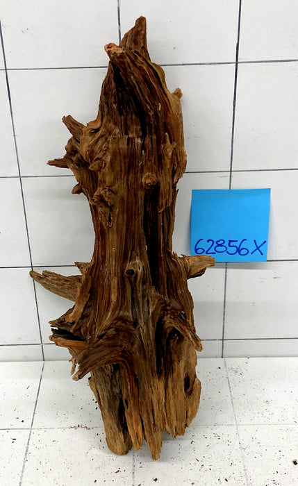 62856X - XINGU Wood Wurzelholz