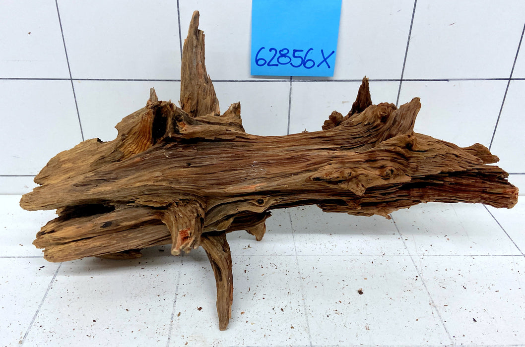 62856X - XINGU Wood Wurzelholz
