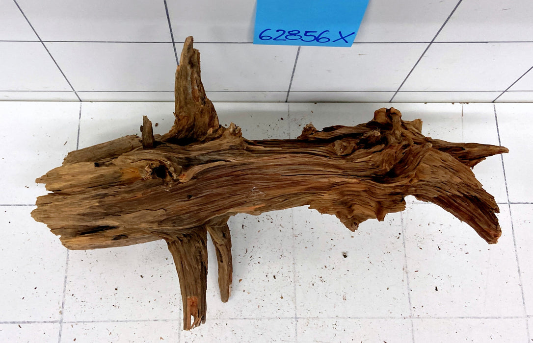 62856X - XINGU Wood Wurzelholz