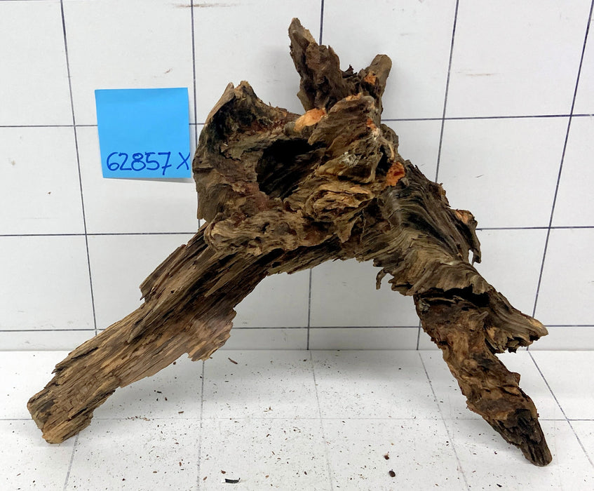 62857X - XINGU Wood Wurzelholz
