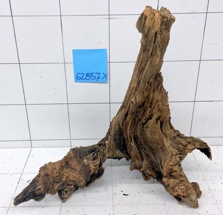 62857X - XINGU Wood Wurzelholz