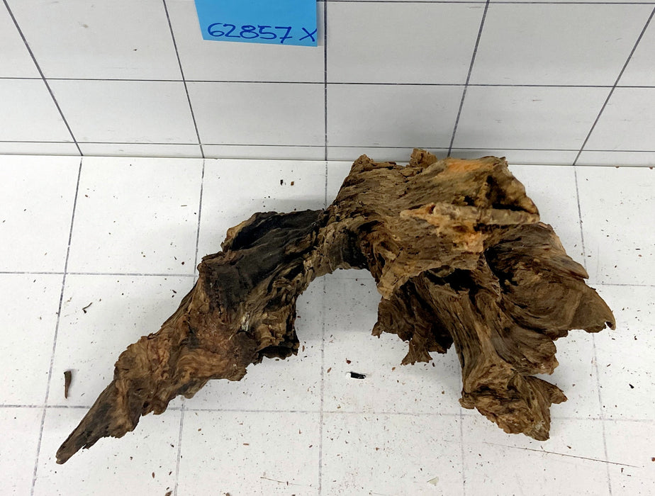 62857X - XINGU Wood Wurzelholz