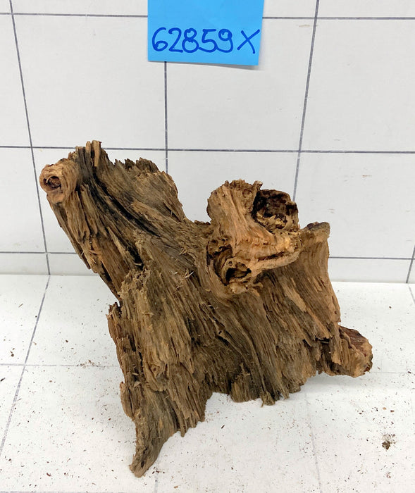 62859X - XINGU Wood Wurzelholz mit geschnittener Grundfläche