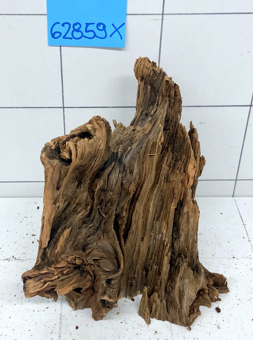 62859X - XINGU Wood Wurzelholz mit geschnittener Grundfläche