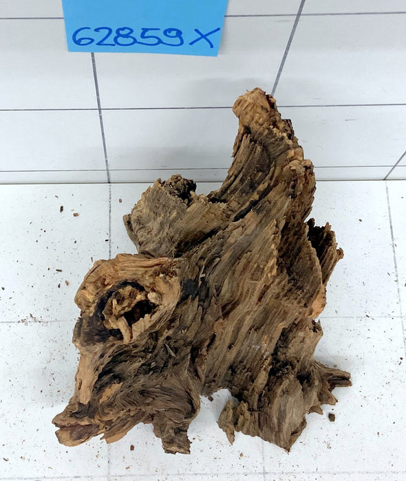 62859X - XINGU Wood Wurzelholz mit geschnittener Grundfläche