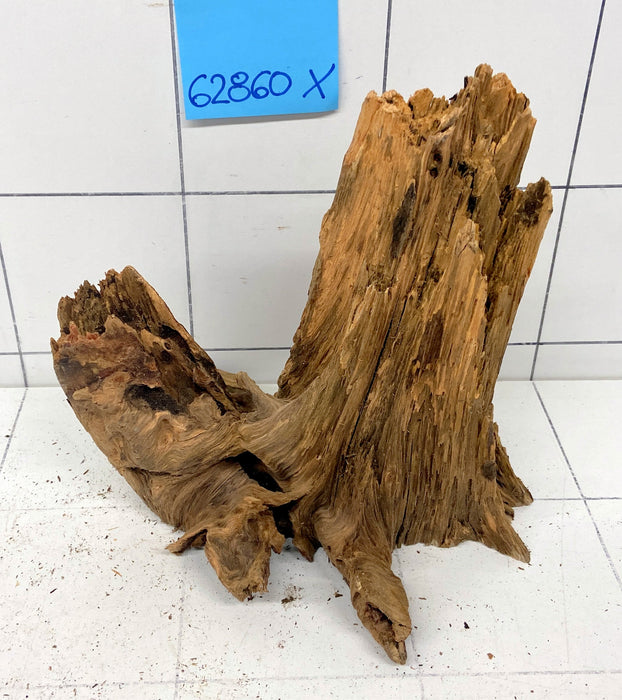 62860X - XINGU Wood Wurzelholz mit geschnittener Grundfläche