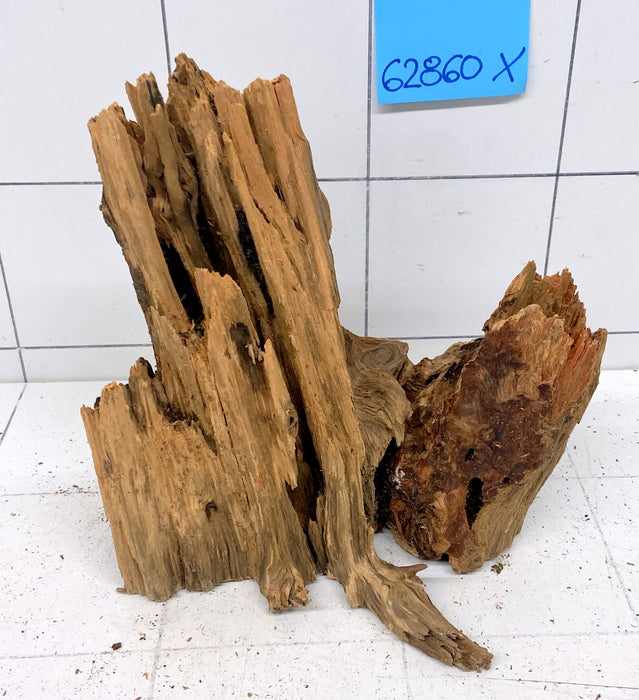 62860X - XINGU Wood Wurzelholz mit geschnittener Grundfläche