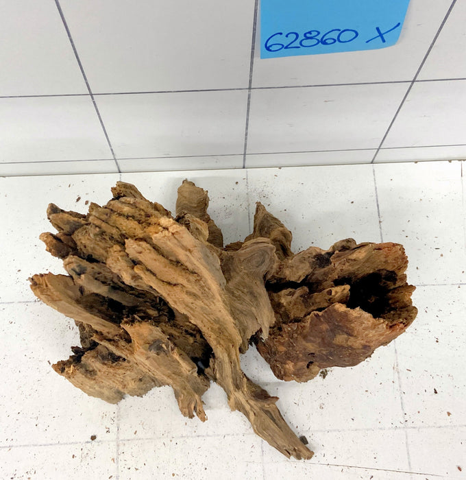 62860X - XINGU Wood Wurzelholz mit geschnittener Grundfläche