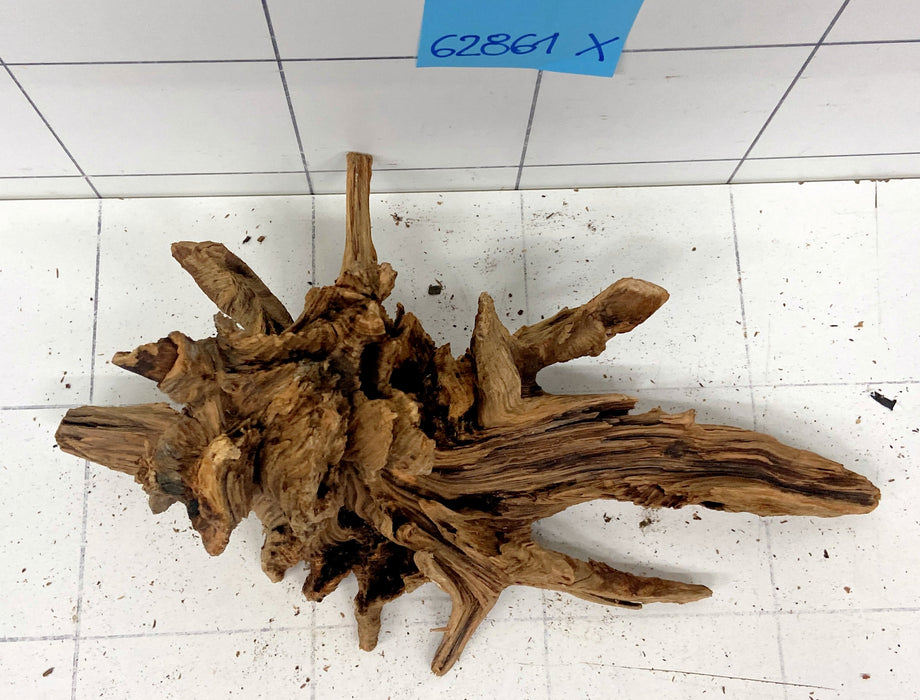 62861X - XINGU Wood Wurzelholz mit geschnittener Grundfläche