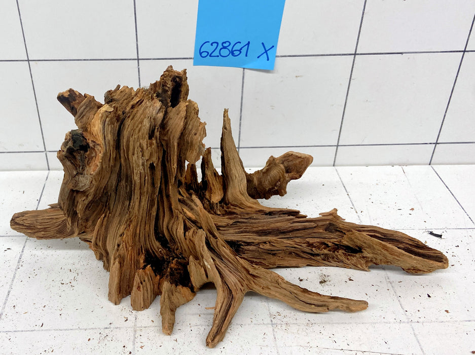 62861X - XINGU Wood Wurzelholz mit geschnittener Grundfläche