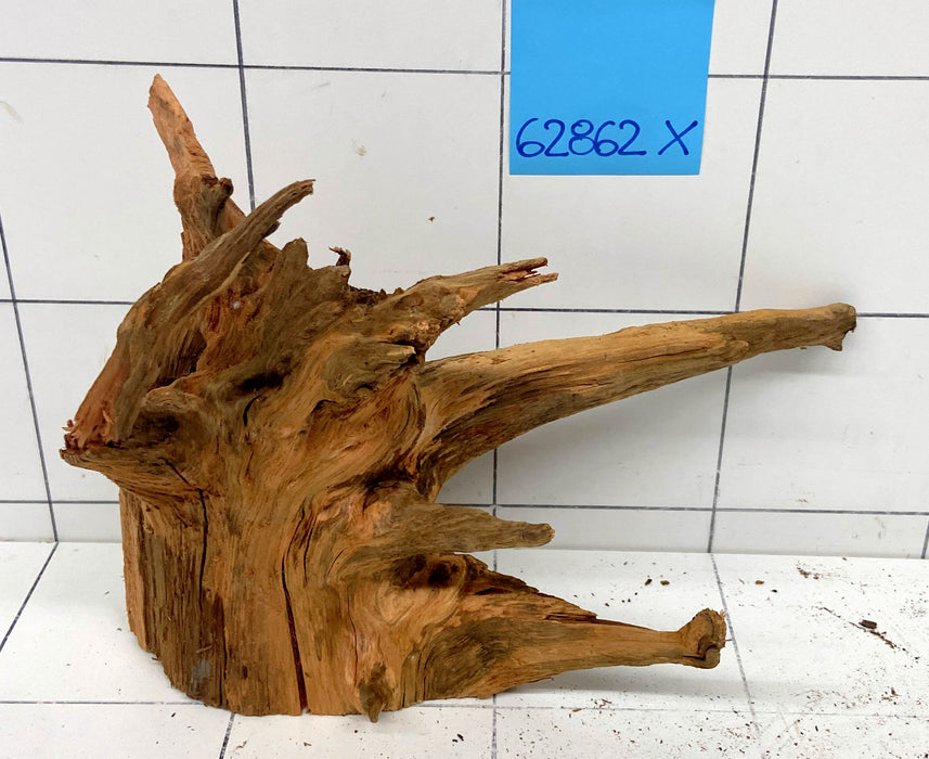 62862X - XINGU Wood Wurzelholz mit geschnittener Grundfläche