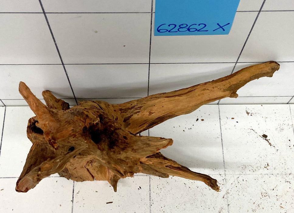 62862X - XINGU Wood Wurzelholz mit geschnittener Grundfläche