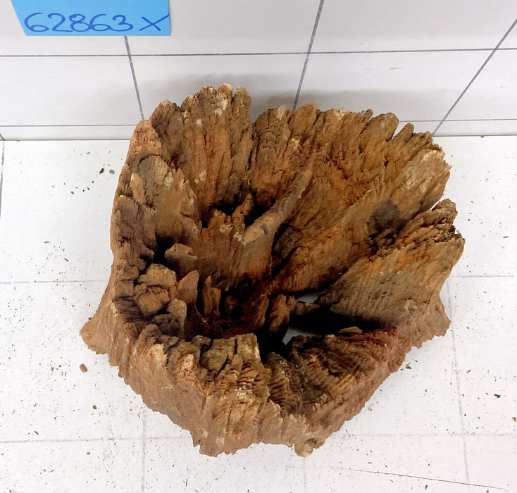 62863X - XINGU Wood Wurzelholz mit geschnittener Grundfläche