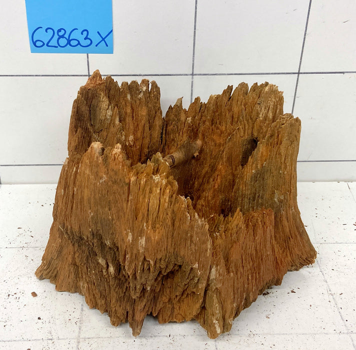 62863X - XINGU Wood Wurzelholz mit geschnittener Grundfläche