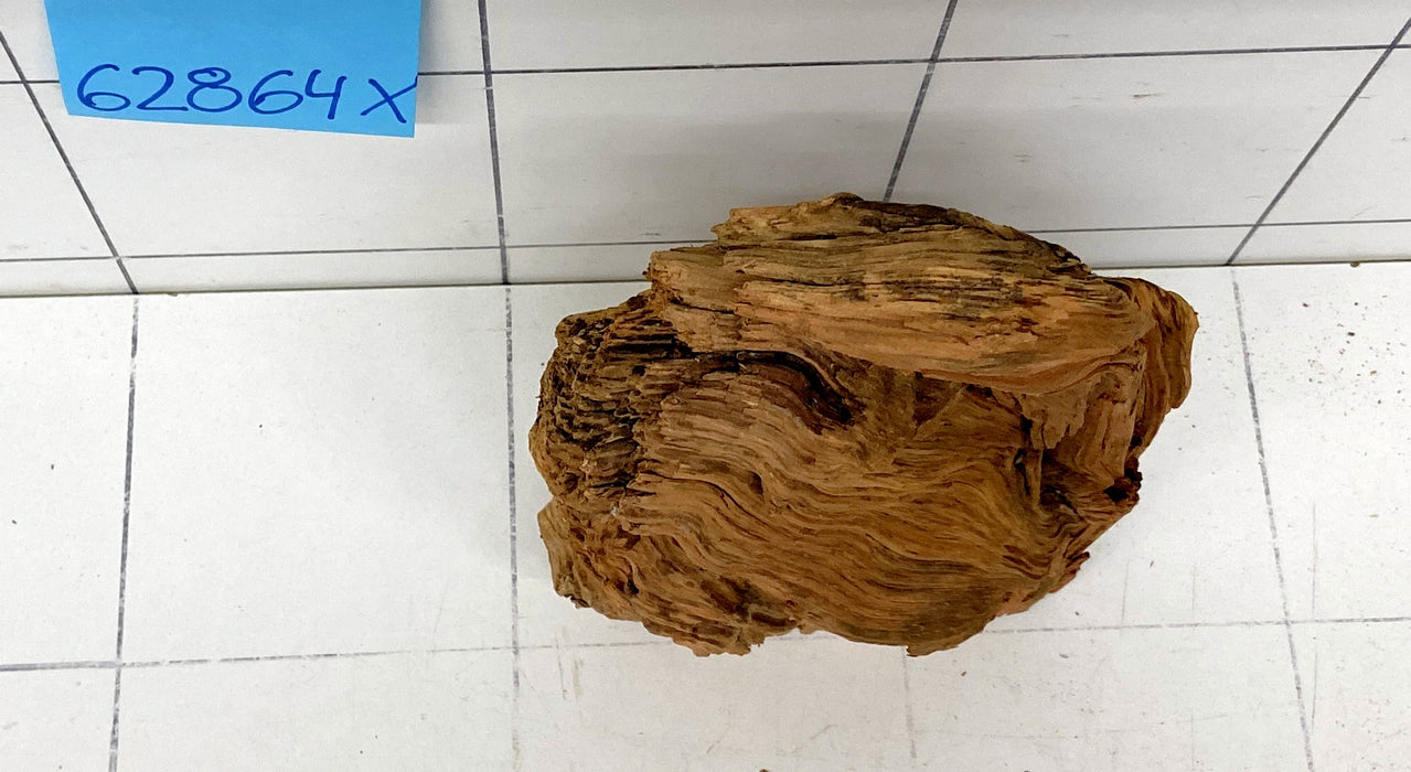 62864X - XINGU Wood Wurzelholz