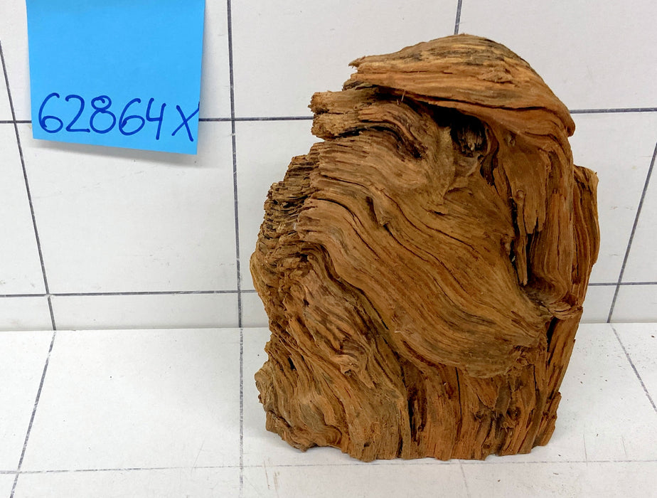 62864X - XINGU Wood Wurzelholz