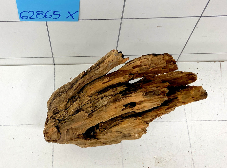 62865X - XINGU Wood Wurzelholz