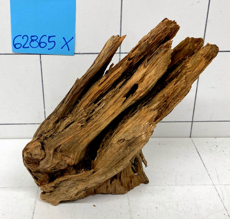 62865X - XINGU Wood Wurzelholz