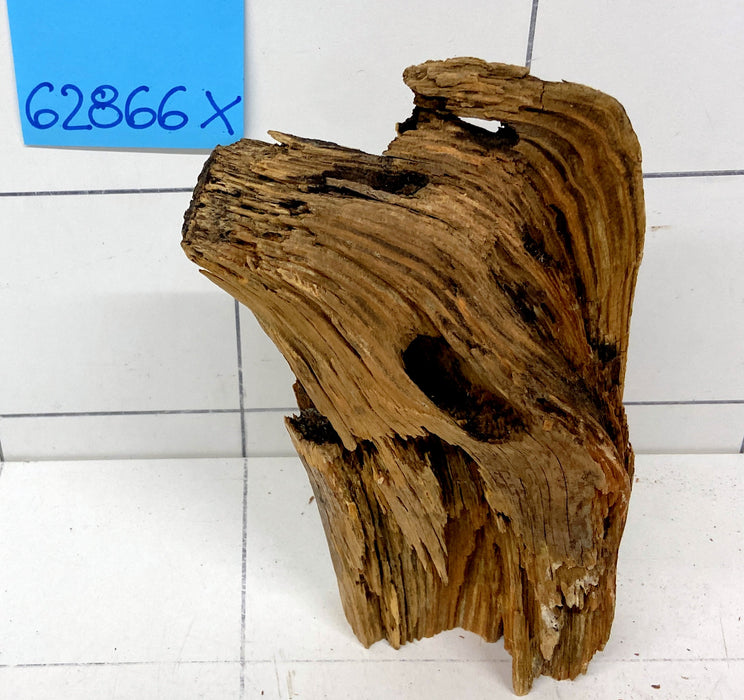62866X - XINGU Wood Wurzelholz