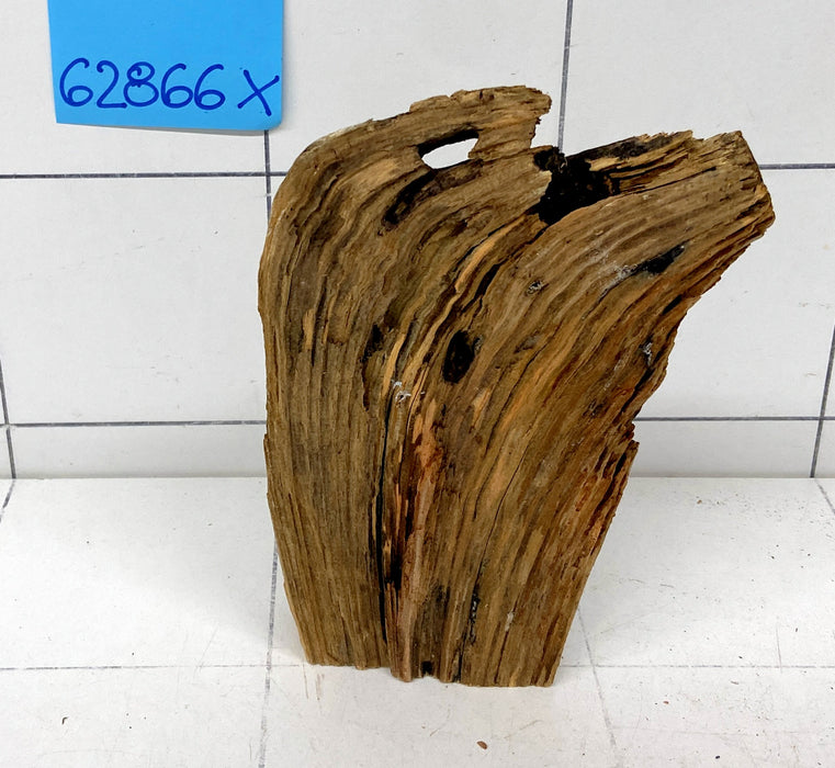 62866X - XINGU Wood Wurzelholz