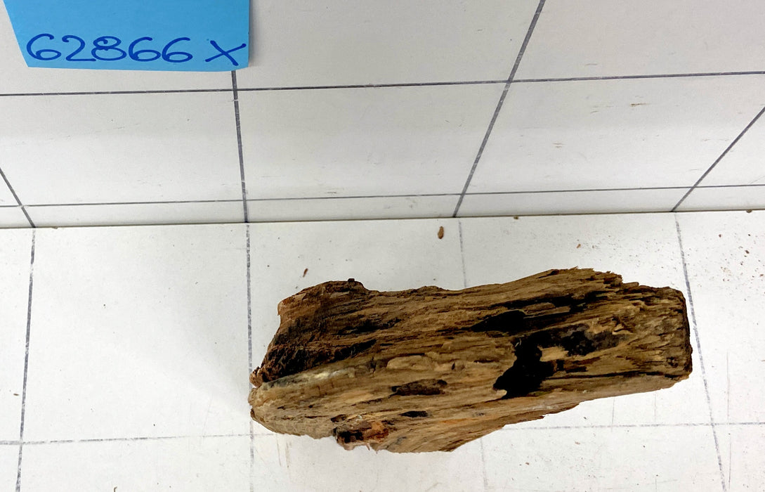 62866X - XINGU Wood Wurzelholz