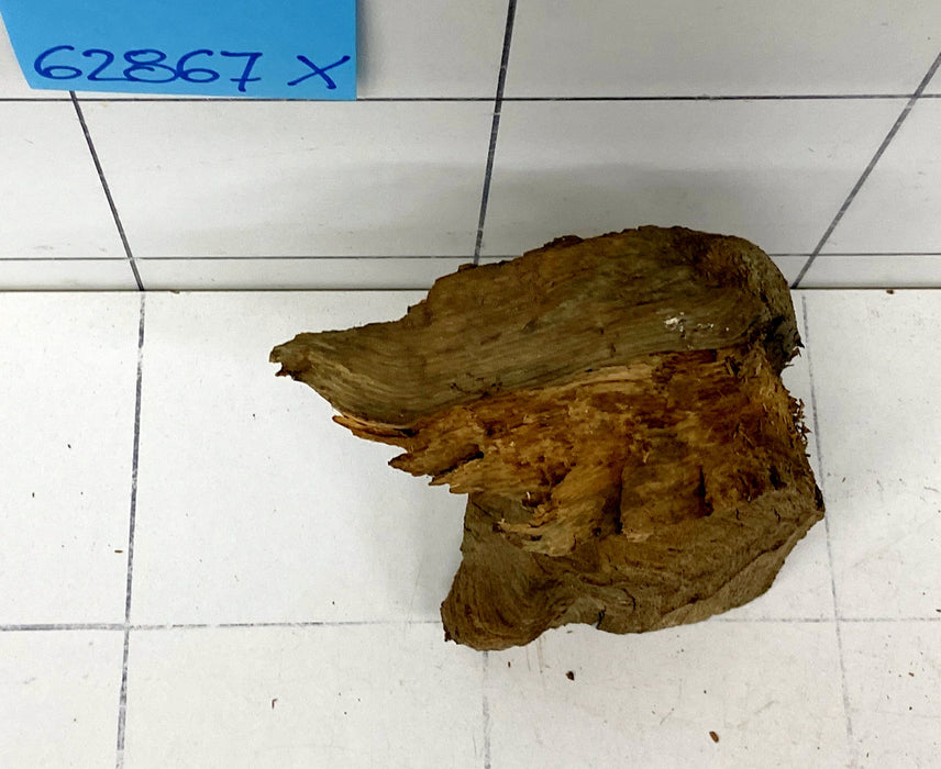 62867X - XINGU Wood Wurzelholz
