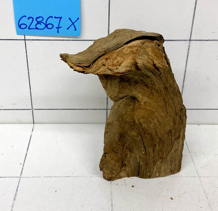 62867X - XINGU Wood Wurzelholz