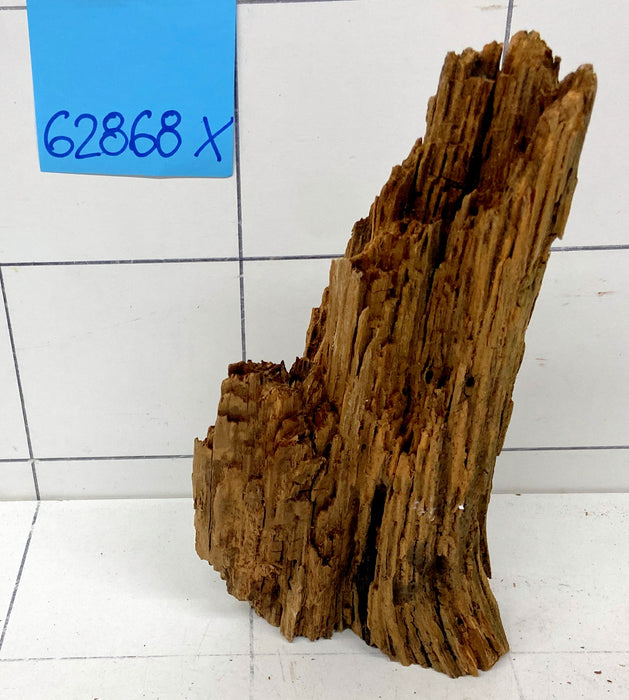 62868X - XINGU Wood Wurzelholz