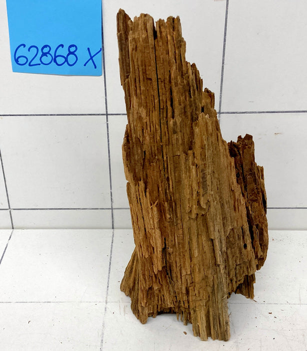 62868X - XINGU Wood Wurzelholz
