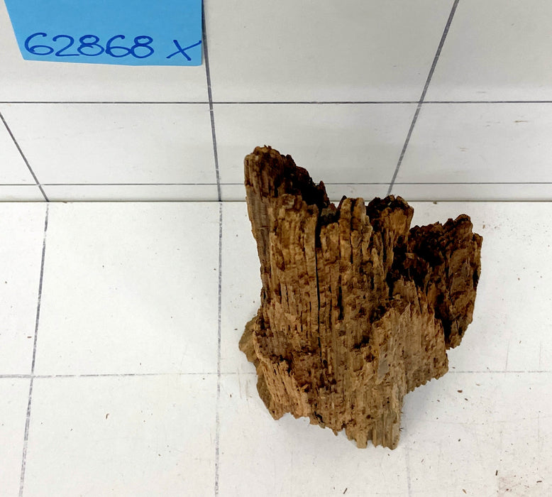 62868X - XINGU Wood Wurzelholz