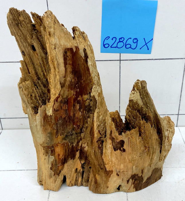 62869X - XINGU Wood Wurzelholz