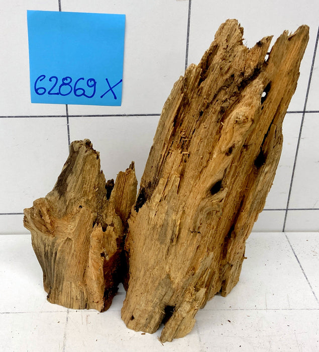 62869X - XINGU Wood Wurzelholz
