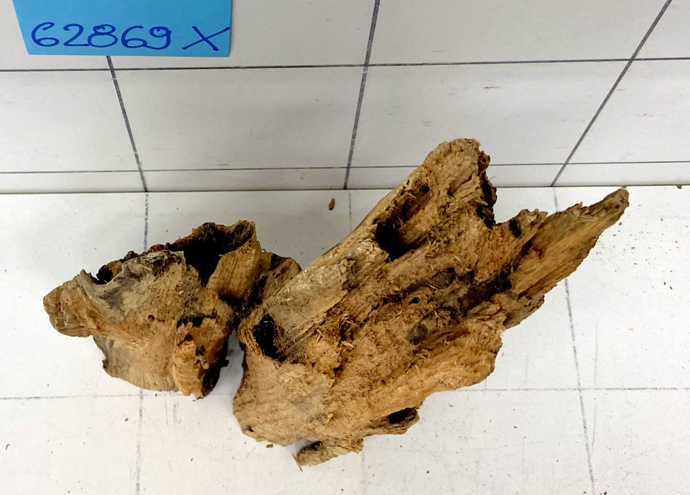 62869X - XINGU Wood Wurzelholz