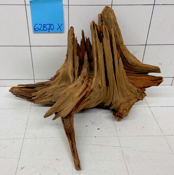 62870X - XINGU Wood Wurzelholz mit geschnittener Grundfläche
