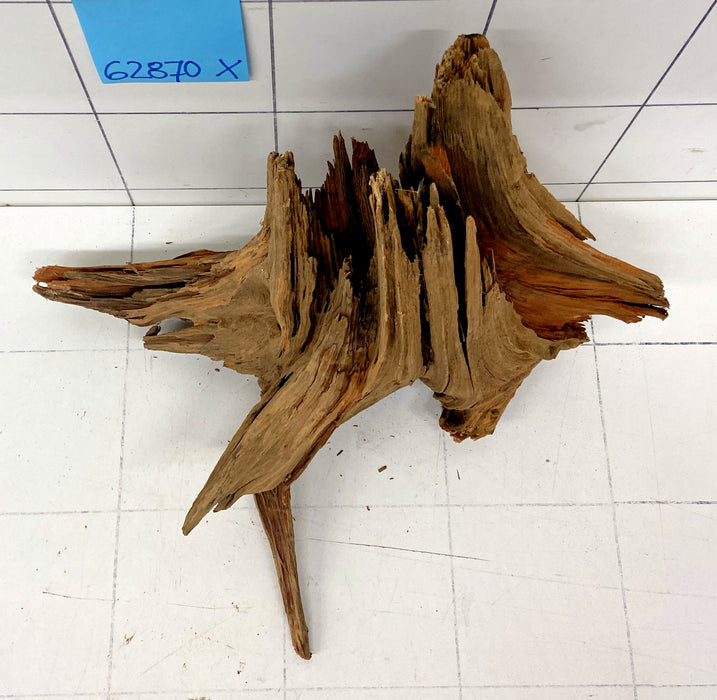 62870X - XINGU Wood Wurzelholz mit geschnittener Grundfläche