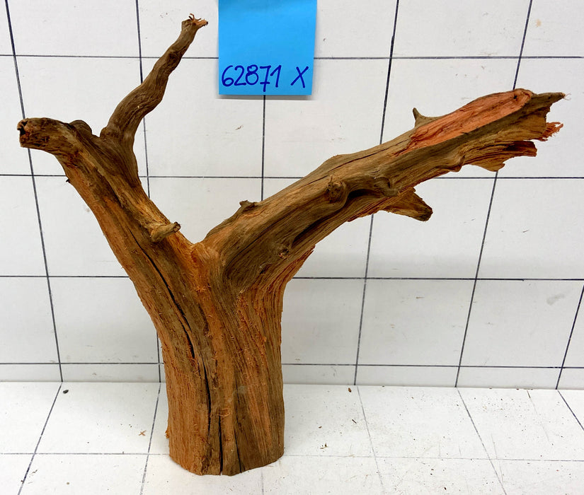 62871X - XINGU Wood Wurzelholz mit geschnittener Grundfläche