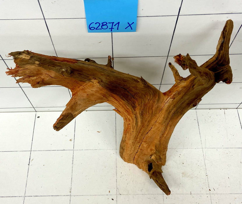 62871X - XINGU Wood Wurzelholz mit geschnittener Grundfläche