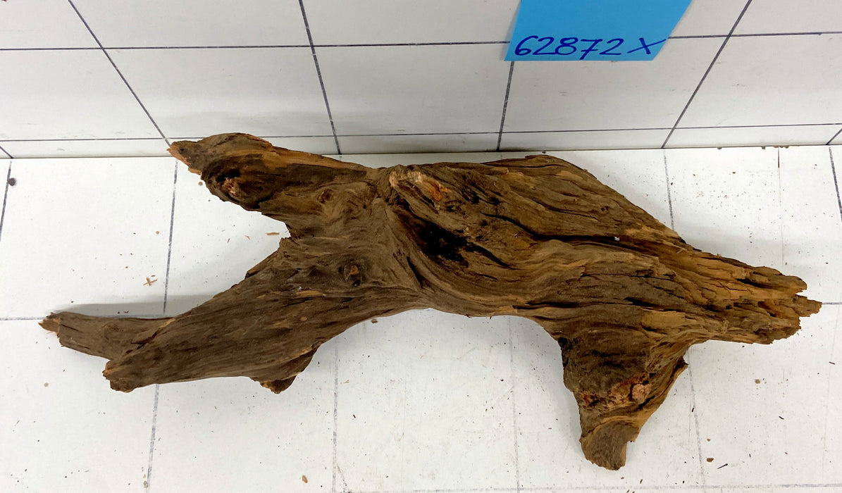 62872X - XINGU Wood Wurzelholz mit geschnittener Grundfläche