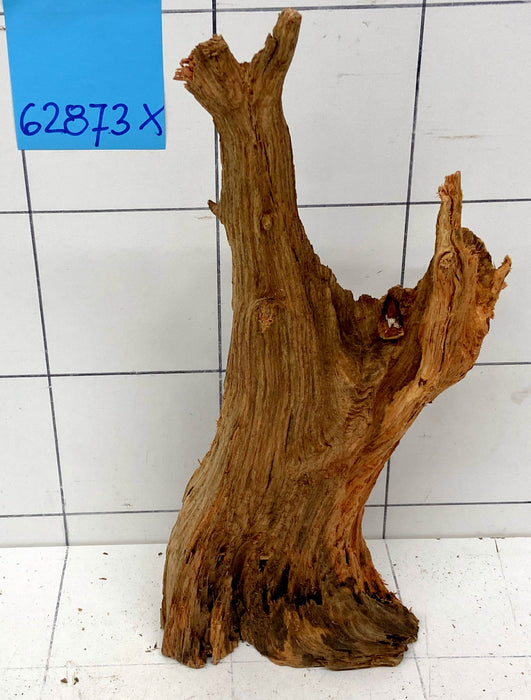 62873X - XINGU Wood Wurzelholz mit geschnittener Grundfläche