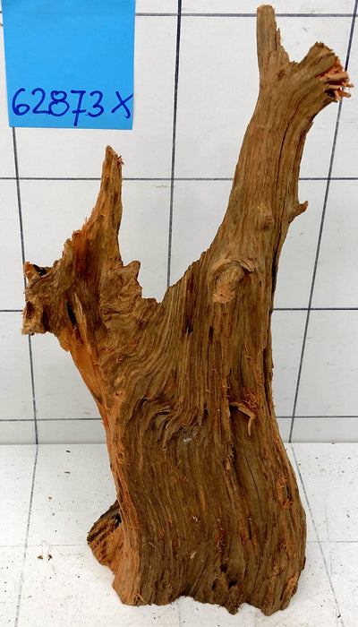 62873X - XINGU Wood Wurzelholz mit geschnittener Grundfläche
