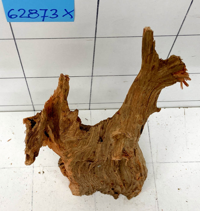 62873X - XINGU Wood Wurzelholz mit geschnittener Grundfläche