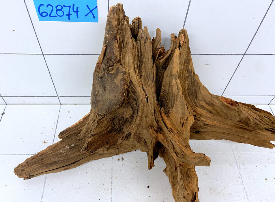 62874X - XINGU Wood Wurzelholz mit geschnittener Grundfläche
